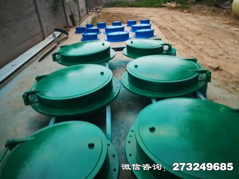 东宝市政管道口玻璃钢拍门